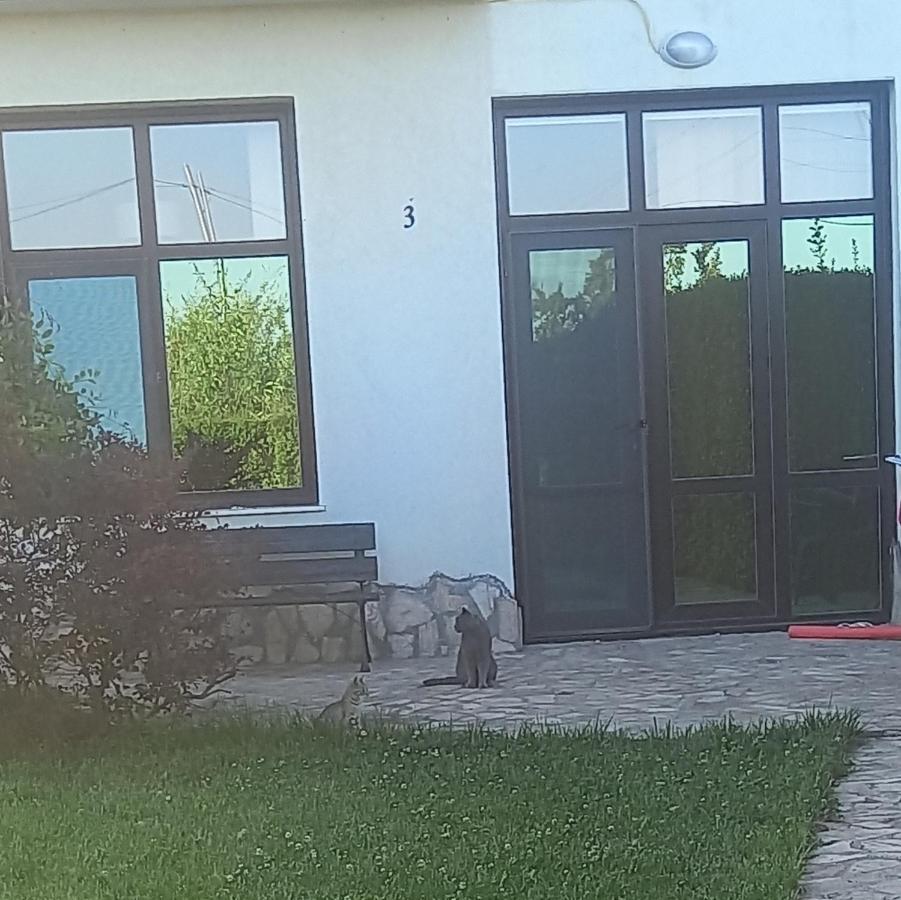Bliznatsi Villa Ketli Apartment מראה חיצוני תמונה